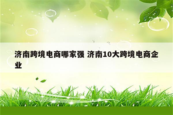 济南跨境电商哪家强 济南10大跨境电商企业