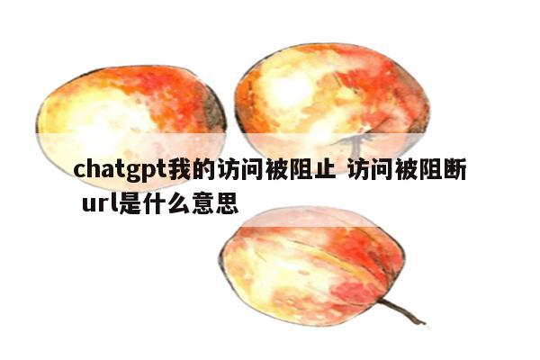 chatgpt我的访问被阻止 访问被阻断 url是什么意思