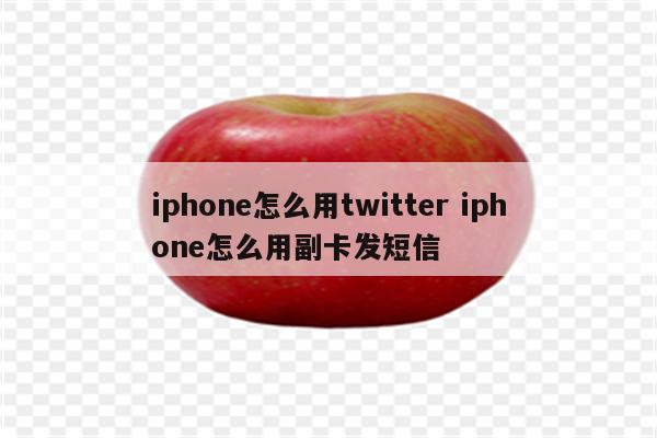 iphone怎么用twitter iphone怎么用副卡发短信