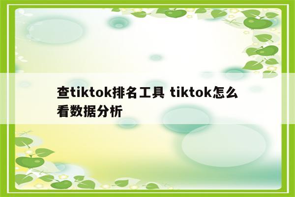 查tiktok排名工具 tiktok怎么看数据分析