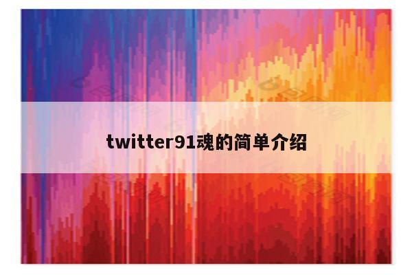 twitter91魂的简单介绍