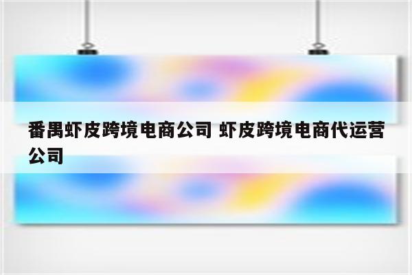 番禺虾皮跨境电商公司 虾皮跨境电商代运营公司