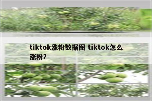 tiktok涨粉数据图 tiktok怎么涨粉?