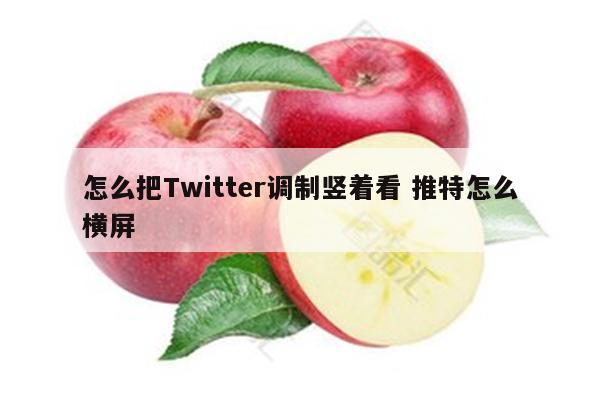 怎么把Twitter调制竖着看 推特怎么横屏