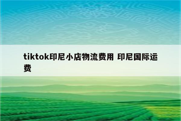 tiktok印尼小店物流费用 印尼国际运费