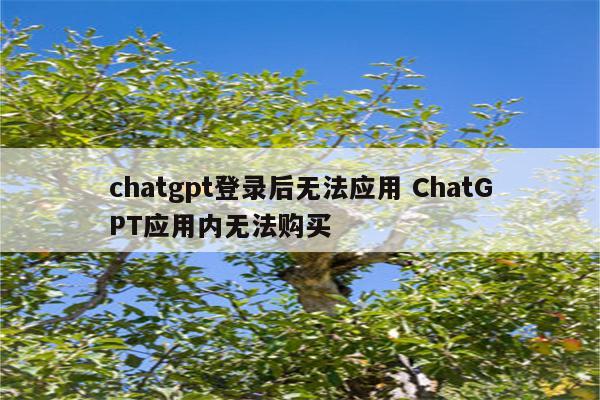 chatgpt登录后无法应用 ChatGPT应用内无法购买