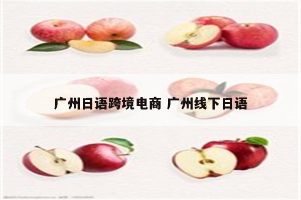 广州日语跨境电商 广州线下日语