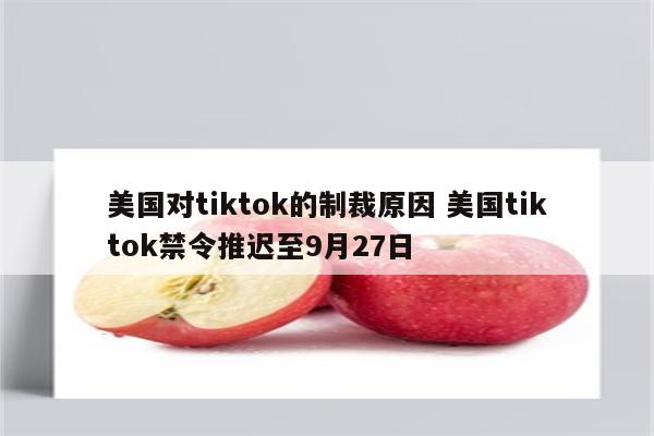 美国对tiktok的制裁原因 美国tiktok禁令推迟至9月27日