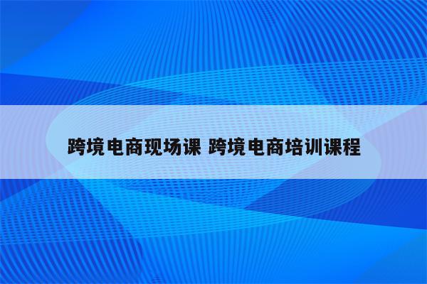 跨境电商现场课 跨境电商培训课程