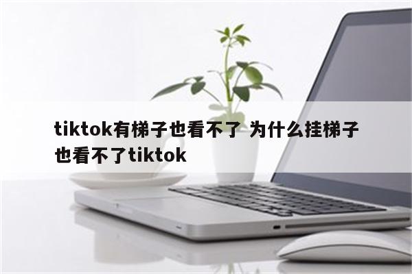 tiktok有梯子也看不了 为什么挂梯子也看不了tiktok