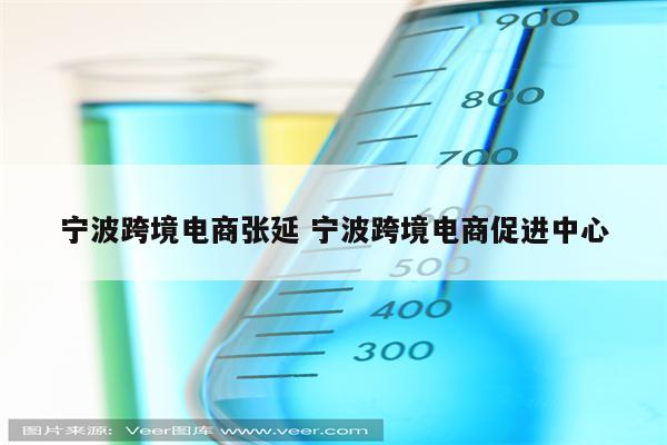 宁波跨境电商张延 宁波跨境电商促进中心