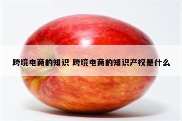 跨境电商的知识 跨境电商的知识产权是什么