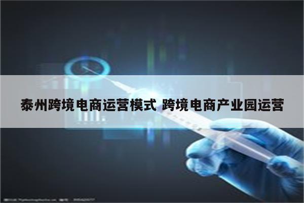 泰州跨境电商运营模式 跨境电商产业园运营