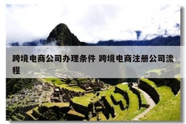 跨境电商公司办理条件 跨境电商注册公司流程