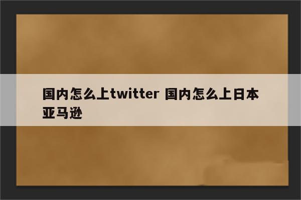 国内怎么上twitter 国内怎么上日本亚马逊