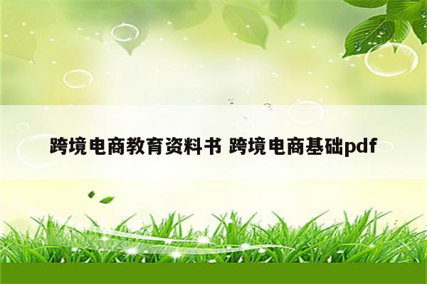 跨境电商教育资料书 跨境电商基础pdf