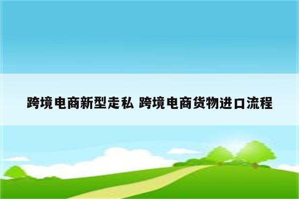 跨境电商新型走私 跨境电商货物进口流程