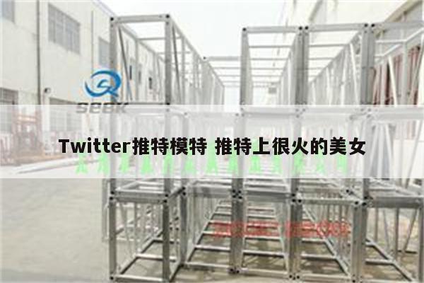 Twitter推特模特 推特上很火的美女