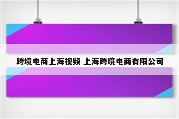 跨境电商上海视频 上海跨境电商有限公司