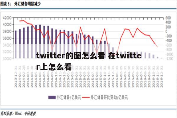 twitter的图怎么看 在twitter上怎么看