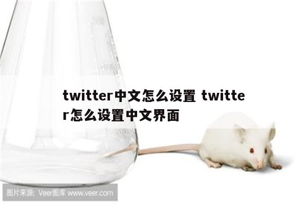 twitter中文怎么设置 twitter怎么设置中文界面