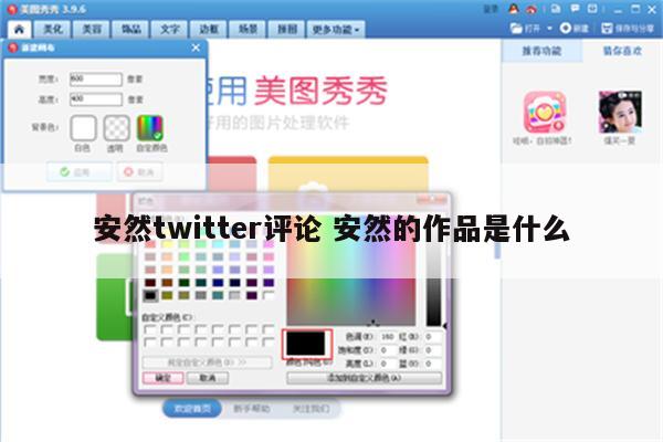 安然twitter评论 安然的作品是什么