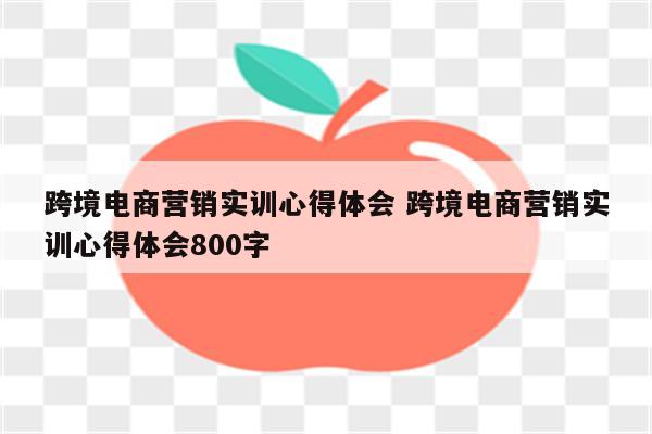 跨境电商营销实训心得体会 跨境电商营销实训心得体会800字