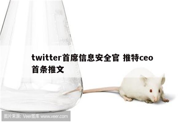 twitter首席信息安全官 推特ceo首条推文