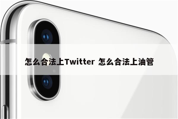 怎么合法上Twitter 怎么合法上油管