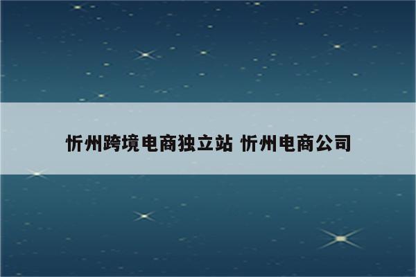忻州跨境电商独立站 忻州电商公司
