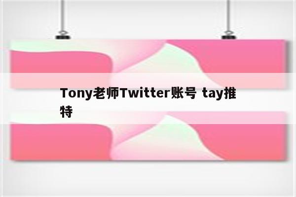 Tony老师Twitter账号 tay推特