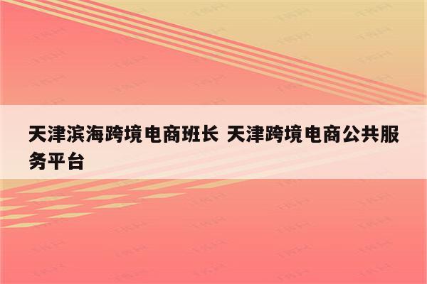 天津滨海跨境电商班长 天津跨境电商公共服务平台
