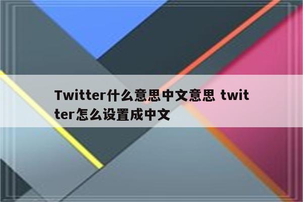 Twitter什么意思中文意思 twitter怎么设置成中文