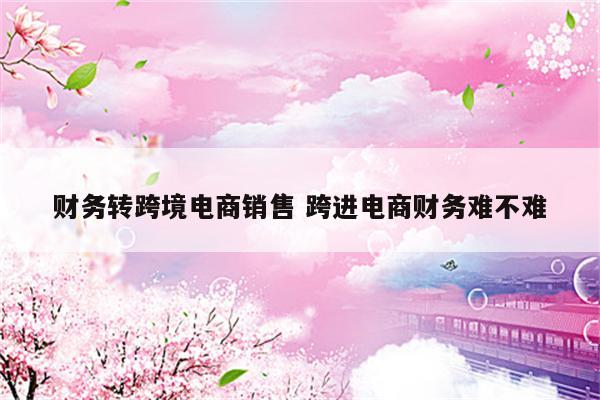财务转跨境电商销售 跨进电商财务难不难