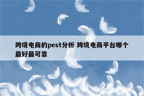 跨境电商的pest分析 跨境电商平台哪个最好最可靠