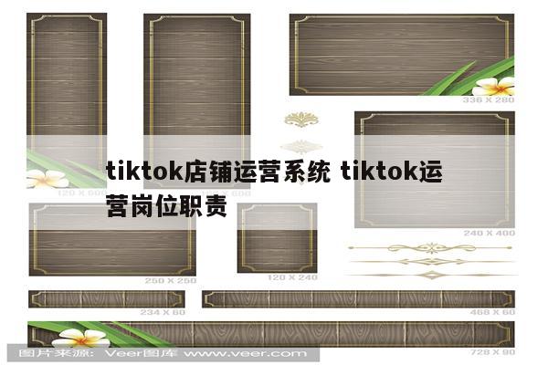 tiktok店铺运营系统 tiktok运营岗位职责
