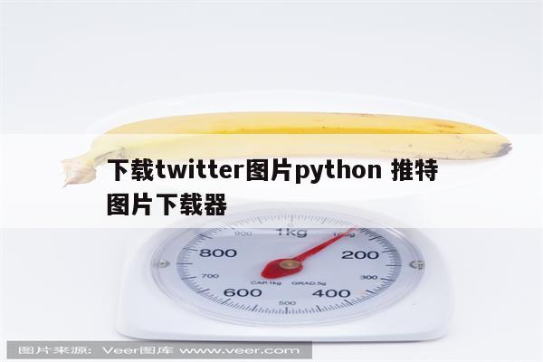 下载twitter图片python 推特图片下载器