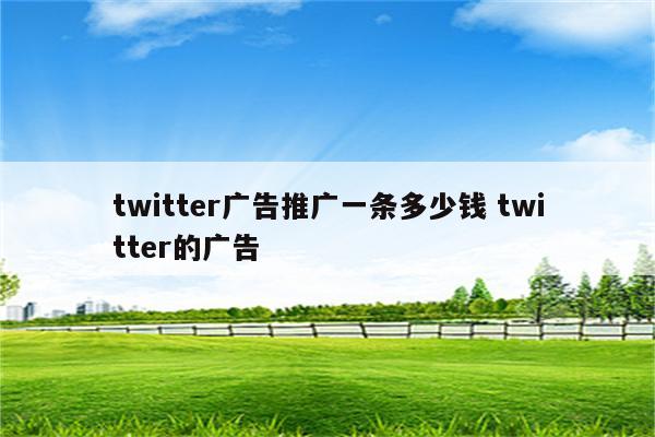twitter广告推广一条多少钱 twitter的广告
