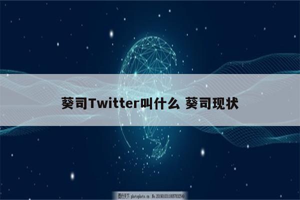 葵司Twitter叫什么 葵司现状