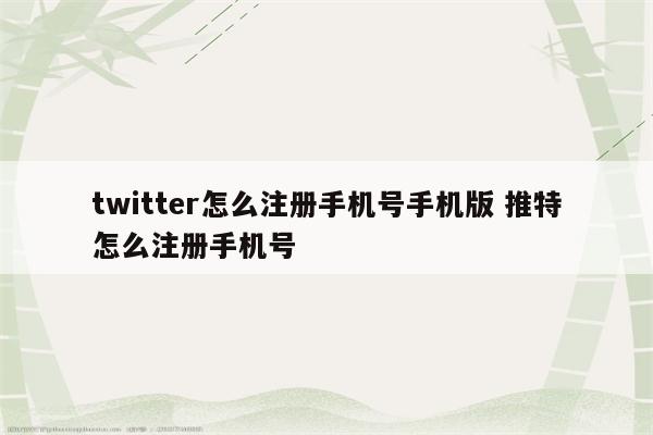 twitter怎么注册手机号手机版 推特怎么注册手机号