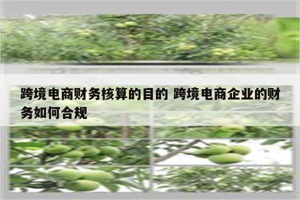 跨境电商财务核算的目的 跨境电商企业的财务如何合规