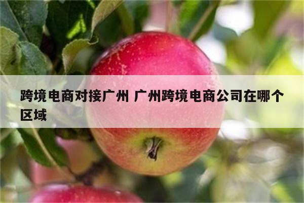 跨境电商对接广州 广州跨境电商公司在哪个区域