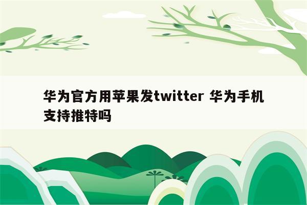 华为官方用苹果发twitter 华为手机支持推特吗