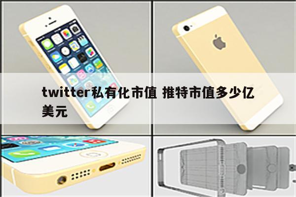 twitter私有化市值 推特市值多少亿美元