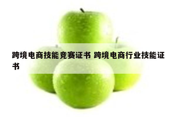 跨境电商技能竞赛证书 跨境电商行业技能证书