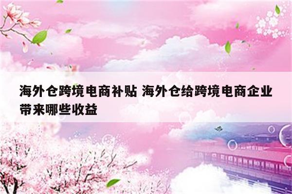 海外仓跨境电商补贴 海外仓给跨境电商企业带来哪些收益