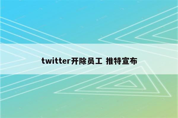 twitter开除员工 推特宣布