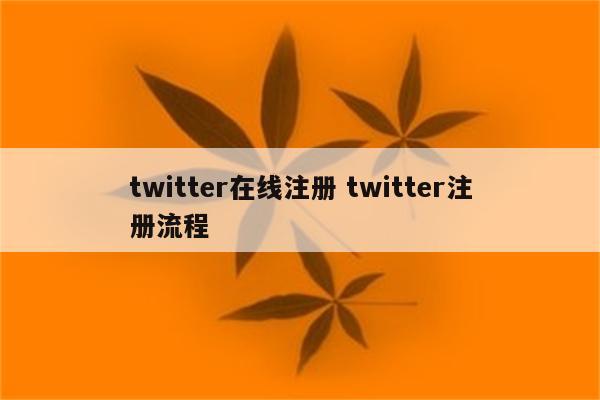 twitter在线注册 twitter注册流程