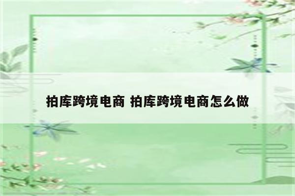 拍库跨境电商 拍库跨境电商怎么做