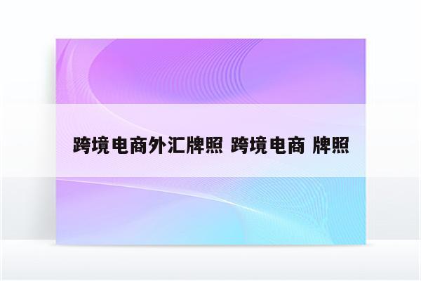 跨境电商外汇牌照 跨境电商 牌照